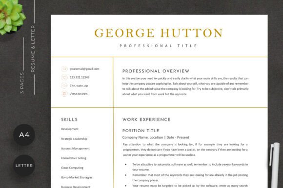 Download Modern Minimal Resume Template - Premium Resources